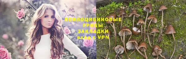 гидропоника Каменногорск
