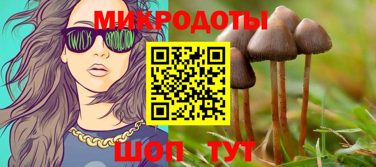 Псилоцибиновые грибы ЛСД  Вход с VPN  Псилоцибиновые грибы Psilocybine cubensis  Петрозаводск 