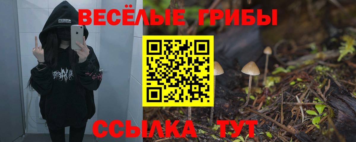 Галлюциногенные грибы MAGIC MUSHROOMS Петрозаводск